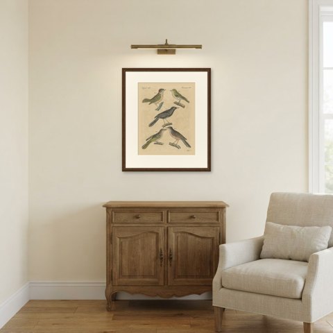 Goldcrest and Firecrest with Songbirds, Antique Bertuch Print, circa 1820, shown framed in a room