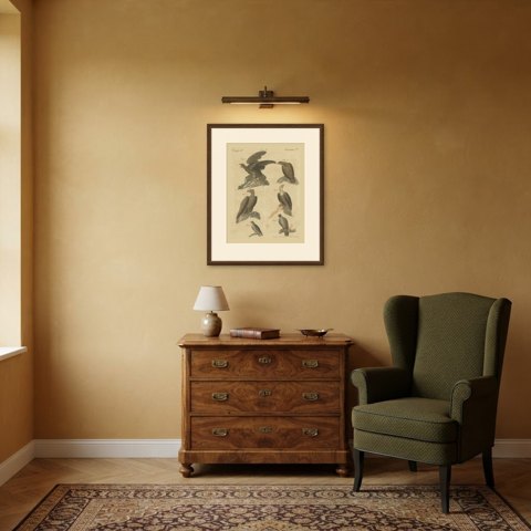 Eagles including the Bald Eagle, Antique Bertuch Print, circa 1805, shown framed in a room