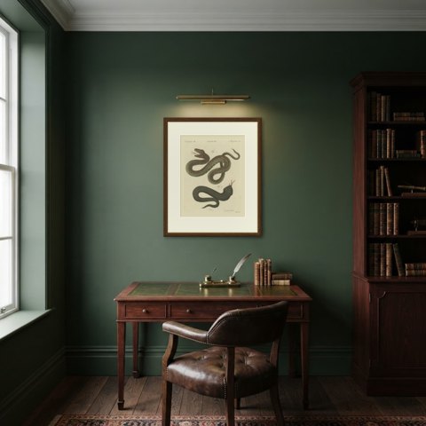 Two Snakes with Open Jaws, Antique Bertuch Print, Vienna, circa 1805, shown framed in a room