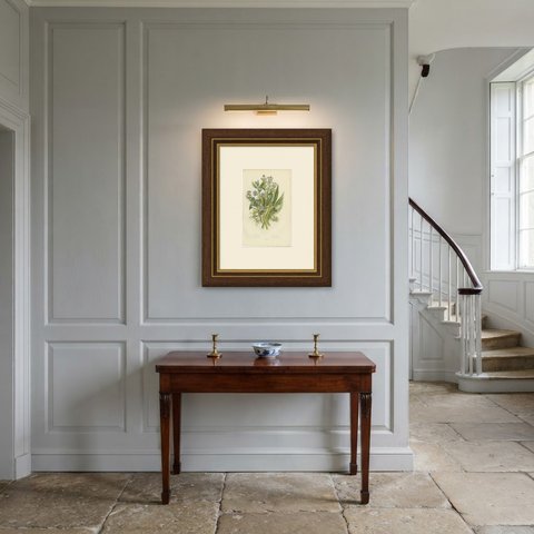 Alkanet, Bugloss and Comfrey, Antique Blue Wild Flower Plate, circa 1873, shown framed in a room