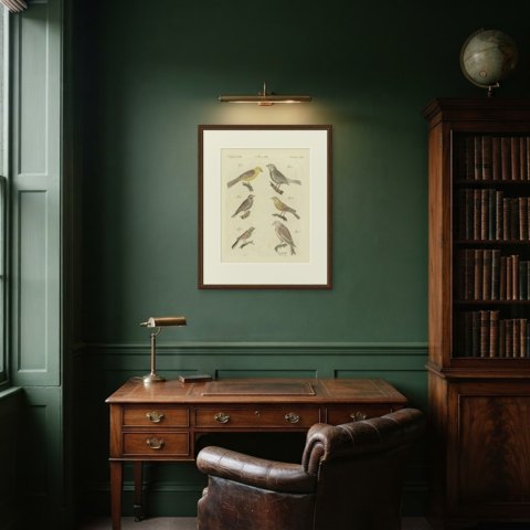 Yellowhammer, Ortolan and Buntings, Antique Bertuch Print, Vienna, circa 1805, shown framed in a room