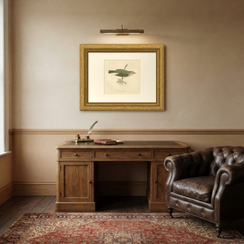 Willow Warbler on a Leafy Stem, Hand Colored Bird Print, Morris, 1896, shown framed in a room