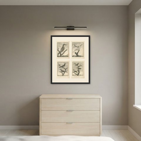 Kingfisher, Bee-Eater and Sunbirds, Four Antique Sonnerat Plates, 1806, shown framed in a room