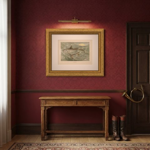 Chimaera, Antique Deep Sea Fish Chromolithograph by P. J. Smit, 1896, shown framed in a room