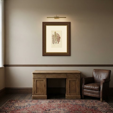 Four Broom Rapes, Antique Print of Britain's Parasitic Plants, circa 1873, shown framed in a room