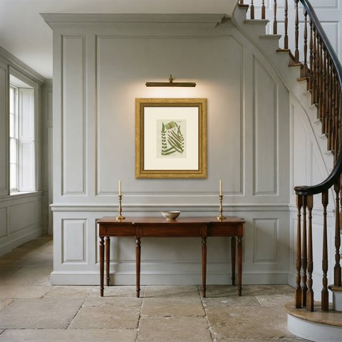 Elegant Antique Hand-Colored Fern Print, Blechnum serrulatum, 1806-1809, shown framed in a room