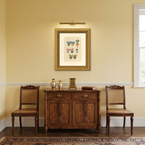 Brunswick Medals, Waterloo, Peninsula and Crosses of 1809, Plate XVIII, 1844, shown framed in a room
