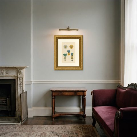 Saxony, Rue Crown and Military Order of Saint Henry, Plate LXXIII, 1844, shown framed in a room