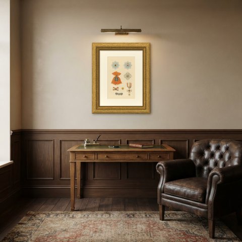 Cream wall with Orders of Prussia, Black Eagle and Red Eagle Insignia, Plate LX, 1844