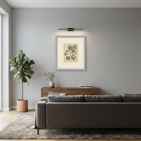 Great-Flowered Silk Cotton Tree, Antique Sonnerat Botanical Plate, 1806, shown framed in a room