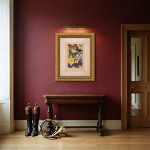 Typical Butterflies, Antique Chromolithograph by West, Newman, 1896, shown framed in a room
