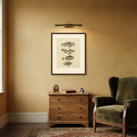 Lionfish, Chimaera, Scorpionfish and Boxfish, Antique Bertuch Print, circa 1805, shown framed in a room