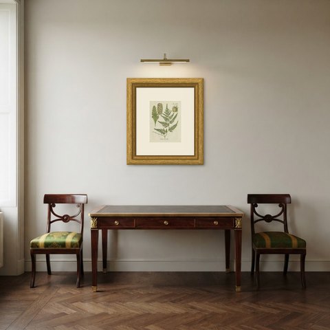 Original Antique Hand-Colored Fern Engraving, Davallia solida, 1806-1809, shown framed in a room
