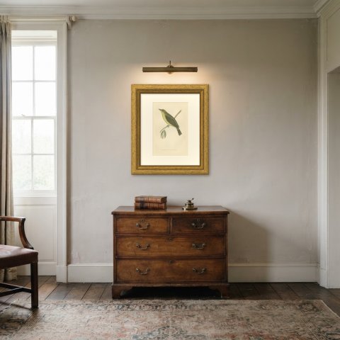 Melodious Willow Warbler Singing on a Twig, Antique Bird Print, Morris, 1896, shown framed in a room