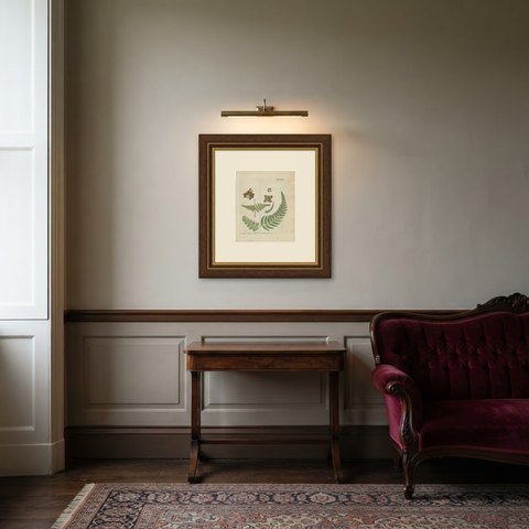 Decorative 19th Century Hand-Colored Fern Engraving, Aspidium obtusum, 1806-1809, shown framed in a room
