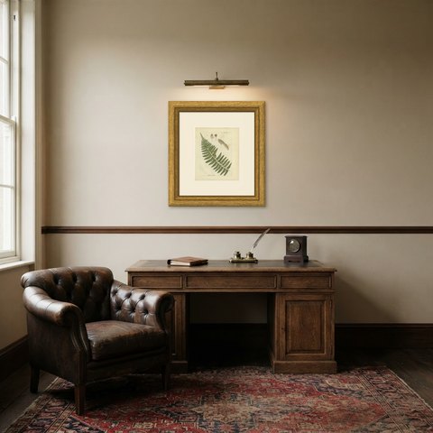 Decorative 19th Century Hand-Colored Fern Engraving, Asplenium laetum, 1806-1809, shown framed in a room