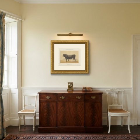 Schwyz Bull, Swiss Brown Cattle Chromolithograph by Olivier de Penne, 1863, shown framed in a room