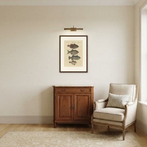 Triggerfish and Filefish from Tropical Reefs, Antique Bertuch Print, circa 1815, shown framed in a room