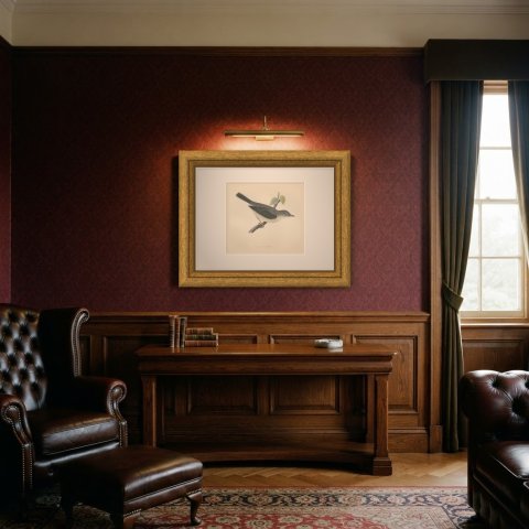 Barred Warbler on a Leafy Twig, Antique Hand Colored Bird Plate, Morris, 1896, shown framed in a room