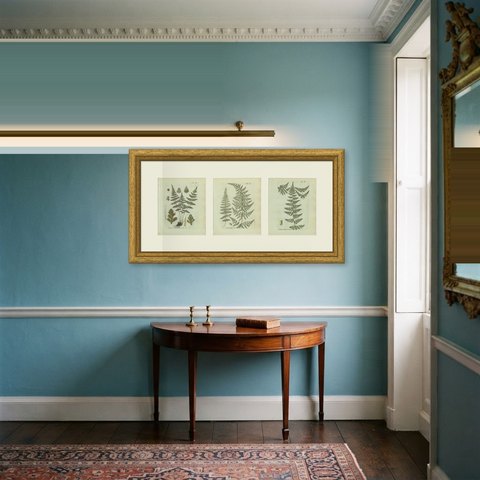 Set of 3 Antique Hand-Colored Fern Prints, Brittle Bladder Fern, 1806-1809, shown framed in a room