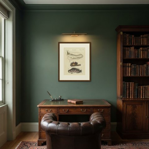 Frogfish with Lure and a Ribbon Fish, Antique Bertuch Print, circa 1810, shown framed in a room