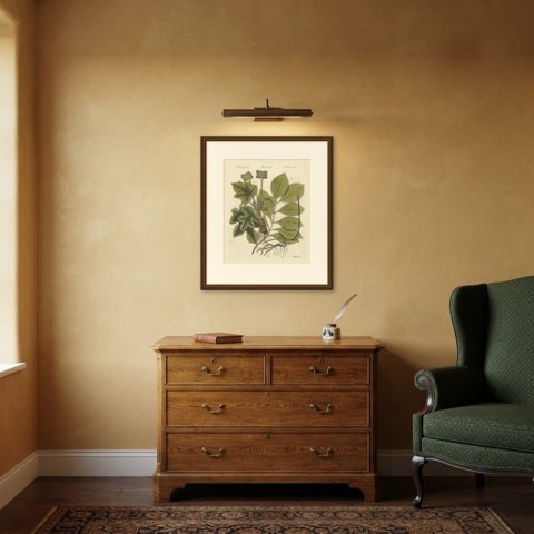 Ipecacuanha and Contrayerva Medicinal Roots, Antique Bertuch Print, circa 1812, shown framed in a room
