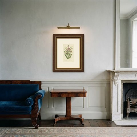 Marsh and White Helleborine, Antique British Orchid Plate, Pratt, circa 1873, shown framed in a room
