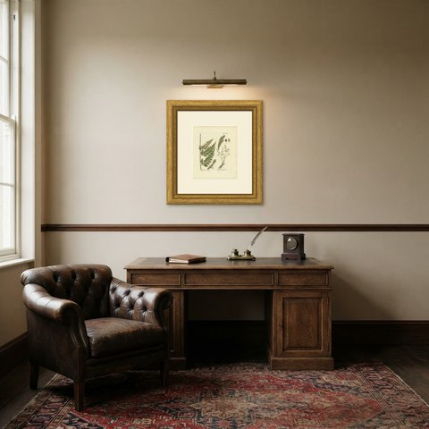 Antique Hand-Colored Fern Engraving by Schkuhr, Asplenium nitidum, 1806-1809, shown framed in a room