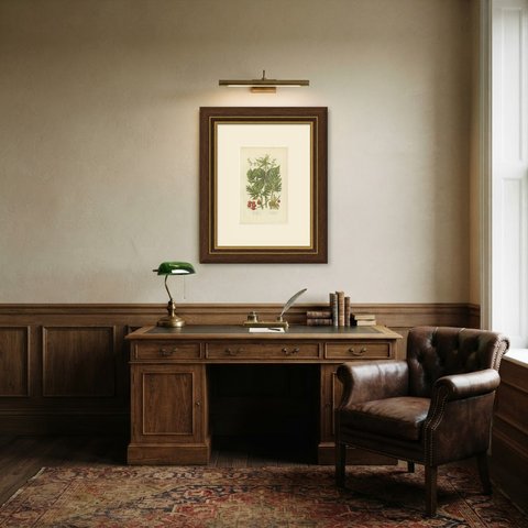 Black Briony and Butcher's Broom, Antique Botanical Plate, Pratt, circa 1873, shown framed in a room