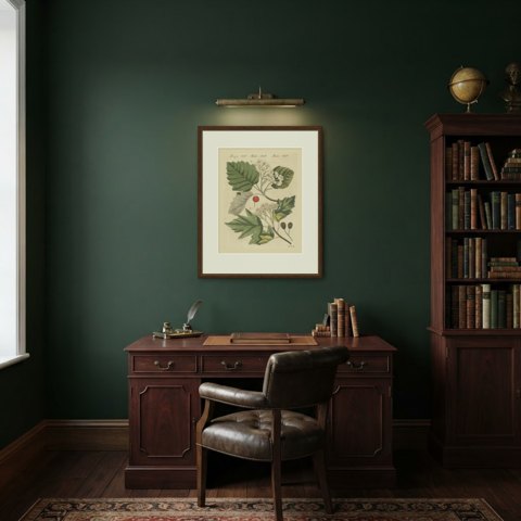 Whitebeam and Wild Service Tree in Blossom, Antique Bertuch Print, circa 1815, shown framed in a room