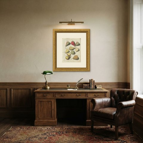 Cuisse Madame and Chair à Dame, Antique Dutch Pear Engraving, 1790, shown framed in a room