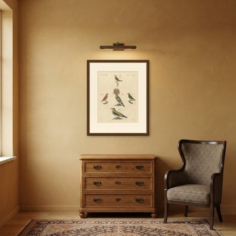 Hoopoe, Roller and Crossbills, Antique Bertuch Print, Vienna, circa 1805, shown framed in a room