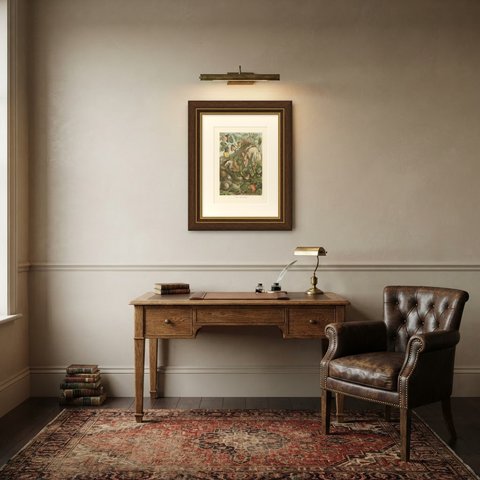 Land Molluscs, Antique Chromolithograph of Snails and Slugs by H. Morin, 1896, shown framed in a room