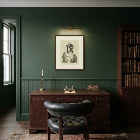 Gibbon and Monkeys, Antique Bertuch Print, Vienna, circa 1805, shown framed in a room
