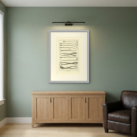 Curved Catheters and Toothed Forceps, Diderot Chirurgie Plate X, circa 1772, shown framed in a room