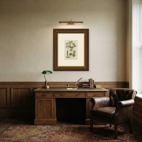 Decorative 19th Century Hand-Colored Fern Engraving, Hartford Fern, 1806-1809, shown framed in a room