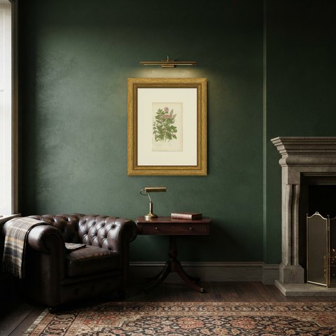 Peppermint and Penny Royal, Antique Kitchen Herb Botanical Print, circa 1873, shown framed in a room
