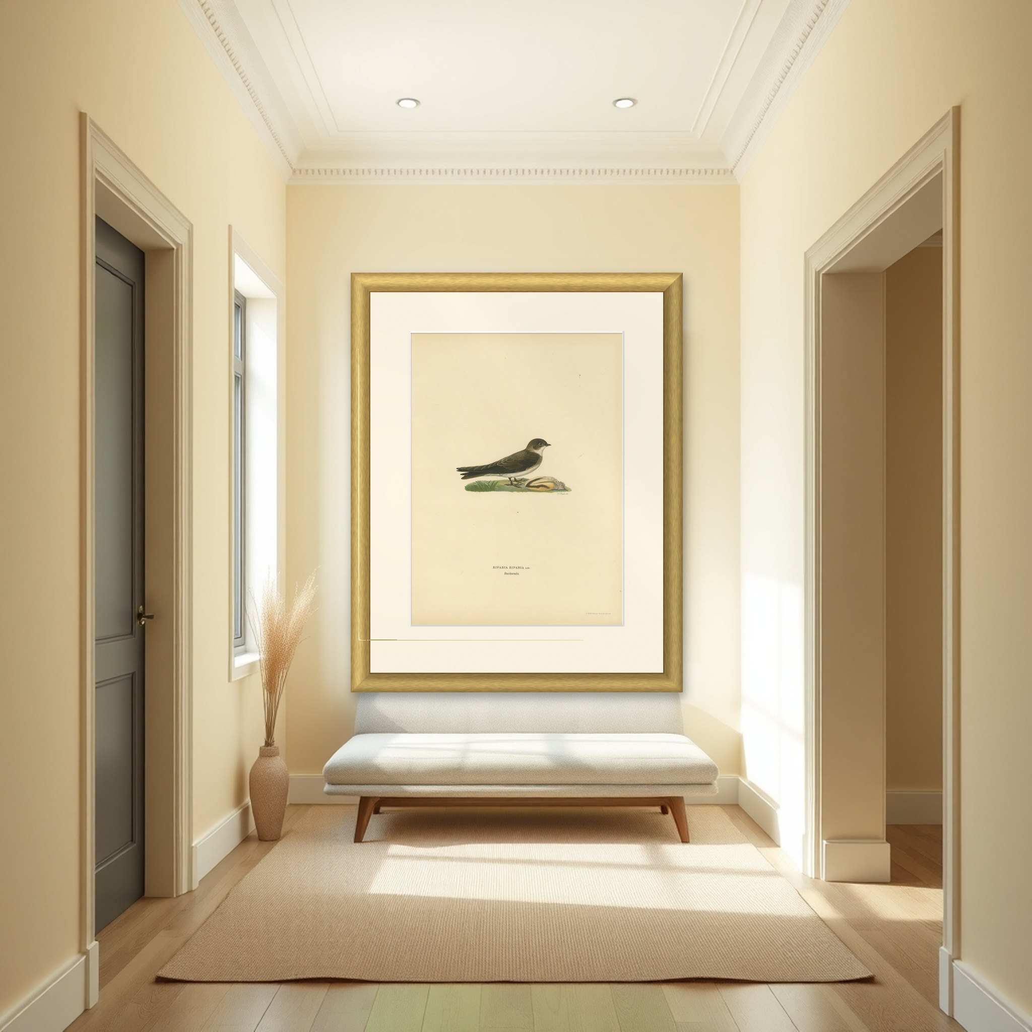 Riparia Riparia - Hand-colored Sand Martin Lithograph by M. von Wright, 1927, shown framed in a room
