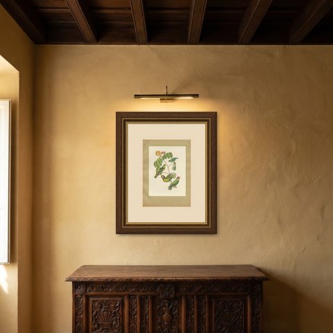 Parrotlets and Small Parrots, Brazilian Bird Print, Descourtilz, 1944, shown framed in a room