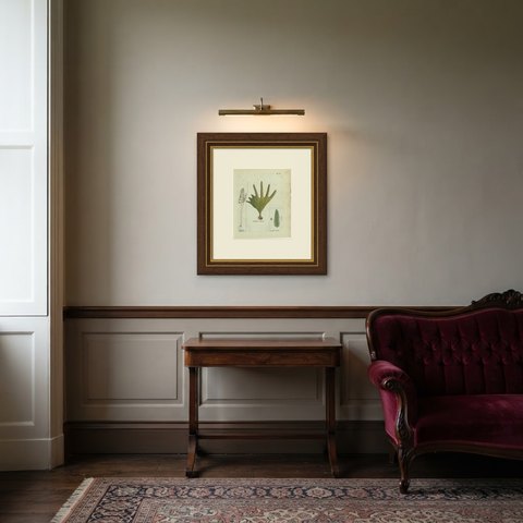 Hand-Colored Fern Engraving by Schkuhr, Acrostichum bifurcatum, 1806-1809, shown framed in a room