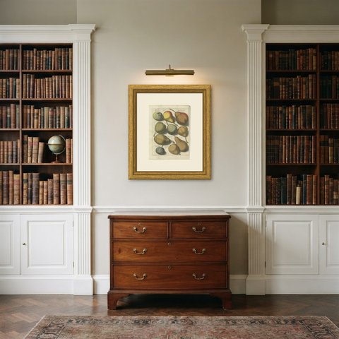 Antique Pear Plate with Bon Chretien and Doyenne, Knoop, 1790, shown framed in a room