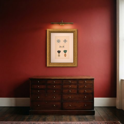 Sweden, Orders of the Polar Star and of Vasa, Plate LXXX, Wood Engraving, 1844, shown framed in a room
