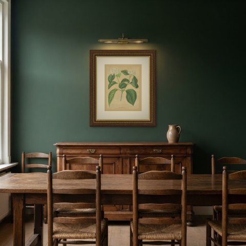 Viburnum Macrophyllum, Flowering Branch on Buff Ground, 1859, shown framed in a room