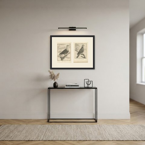 Dutch Pigeon and Gray Dove of China, Pair of Antique Plates, 1806, shown framed in a room