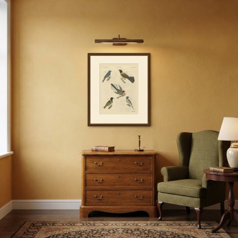 Five Exotic Birds, Antique Bertuch Print, Vienna, circa 1805, shown framed in a room