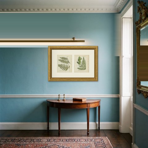 Set of 2 Antique Hand-Colored Fern Prints, Polypodium speluncae, 1806-1809, shown framed in a room