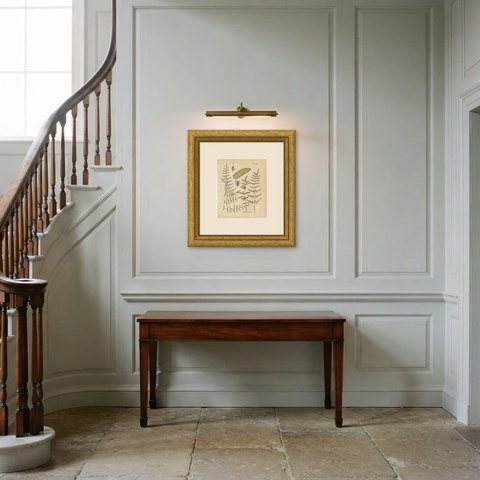Elegant Antique Hand-Colored Fern Print, Pteris atropurpurea, 1806-1809, shown framed in a room