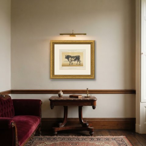 Dutch Bull, Black and White Cattle Chromolithograph by Olivier de Penne, 1863, shown framed in a room