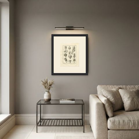 Eleven Numbered Turbans and Caps, Antique Niebuhr Plate XX, 1776, shown framed in a room