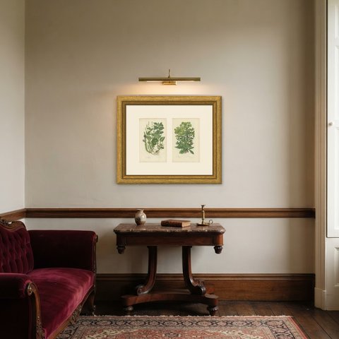 Mercury, Caper Spurge and Box, Set of 2 Antique Botanical Plates, circa 1873, shown framed in a room